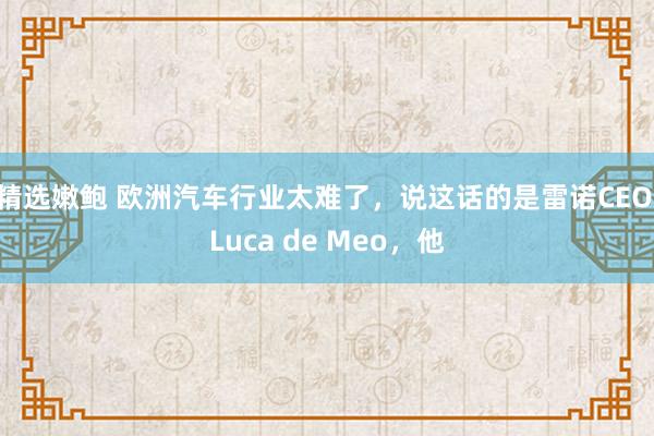 精选嫩鲍 欧洲汽车行业太难了，说这话的是雷诺CEO Luca de Meo，他