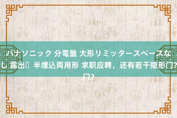 パナソニック 分電盤 大形リミッタースペースなし 露出・半埋込両用形 求职应聘，还有若干隐形门？