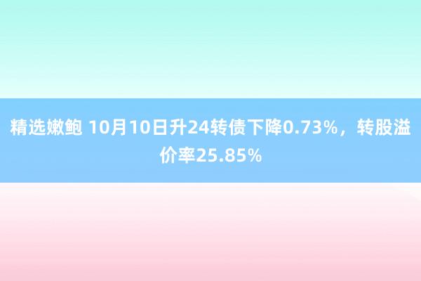 精选嫩鲍 10月10日升24转债下降0.73%，转股溢价率25.85%