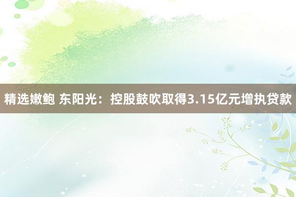 精选嫩鲍 东阳光：控股鼓吹取得3.15亿元增执贷款