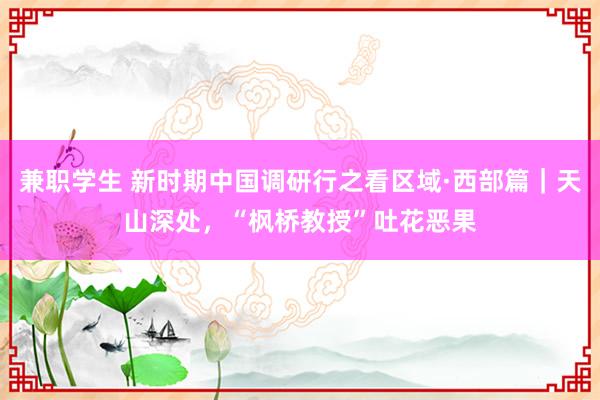 兼职学生 新时期中国调研行之看区域·西部篇｜天山深处，“枫桥教授”吐花恶果