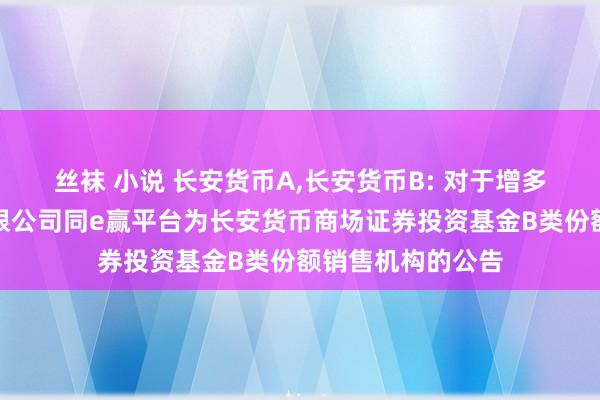 丝袜 小说 长安货币A,长安货币B: 对于增多中国银行股份有限公司同e赢平台为长安货币商场证券投资基金B类份额销售机构的公告