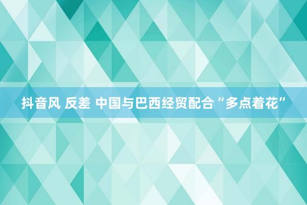 抖音风 反差 中国与巴西经贸配合“多点着花”