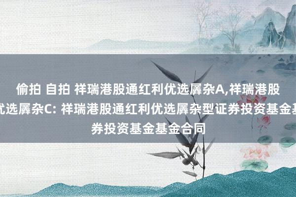 偷拍 自拍 祥瑞港股通红利优选羼杂A,祥瑞港股通红利优选羼杂C: 祥瑞港股通红利优选羼杂型证券投资基金基金合同