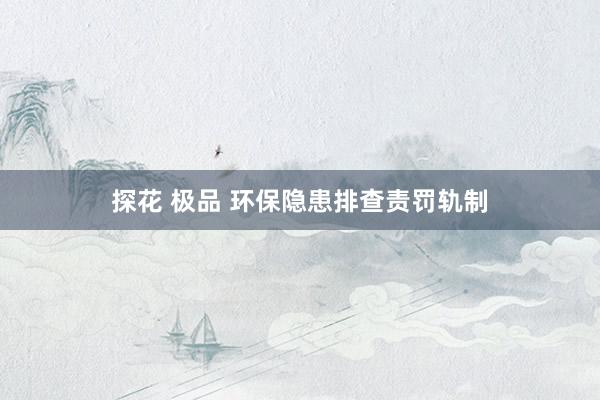 探花 极品 环保隐患排查责罚轨制