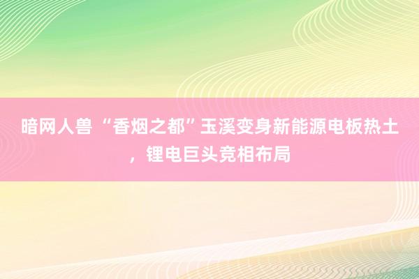 暗网人兽 “香烟之都”玉溪变身新能源电板热土，锂电巨头竞相布局