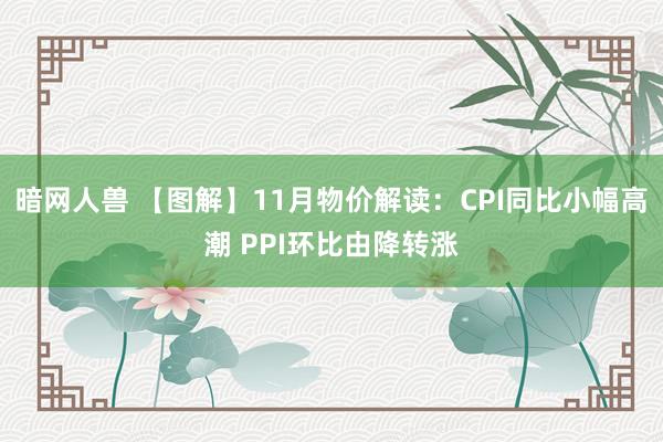 暗网人兽 【图解】11月物价解读：CPI同比小幅高潮 PPI环比由降转涨