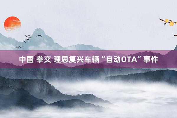 中国 拳交 理思复兴车辆“自动OTA”事件