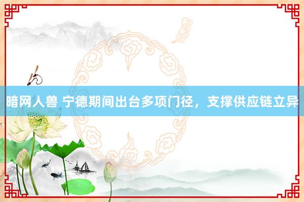 暗网人兽 宁德期间出台多项门径，支撑供应链立异