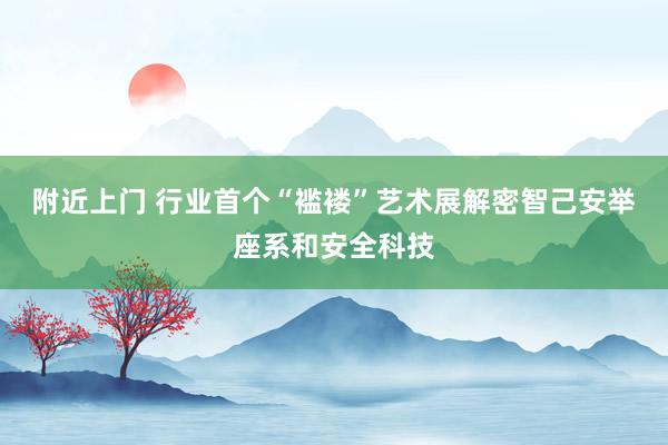 附近上门 行业首个“褴褛”艺术展解密智己安举座系和安全科技