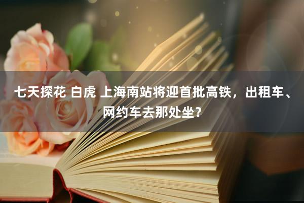 七天探花 白虎 上海南站将迎首批高铁，出租车、网约车去那处坐？