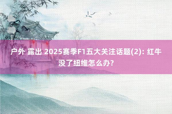 户外 露出 2025赛季F1五大关注话题(2): 红牛没了纽维怎么办?
