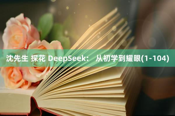 沈先生 探花 DeepSeek： 从初学到耀眼(1-104)