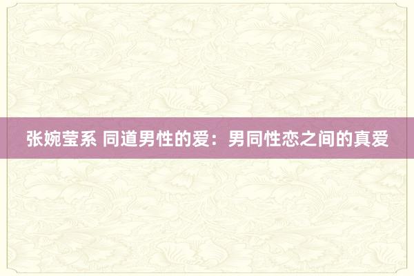 张婉莹系 同道男性的爱：男同性恋之间的真爱