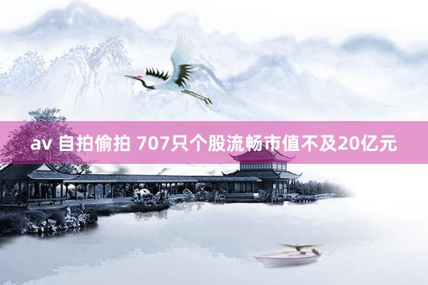 av 自拍偷拍 707只个股流畅市值不及20亿元