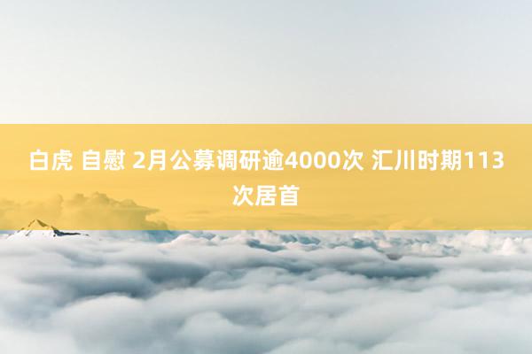 白虎 自慰 2月公募调研逾4000次 汇川时期113次居首