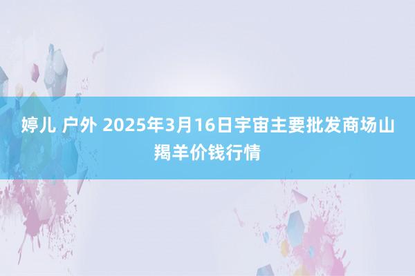 婷儿 户外 2025年3月16日宇宙主要批发商场山羯羊价钱行情
