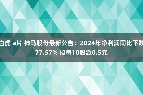 白虎 a片 神马股份最新公告：2024年净利润同比下跌77.57% 拟每10股派0.5元