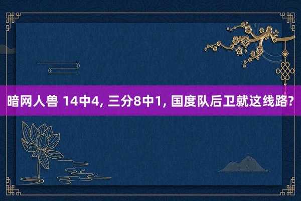 暗网人兽 14中4， 三分8中1， 国度队后卫就这线路?