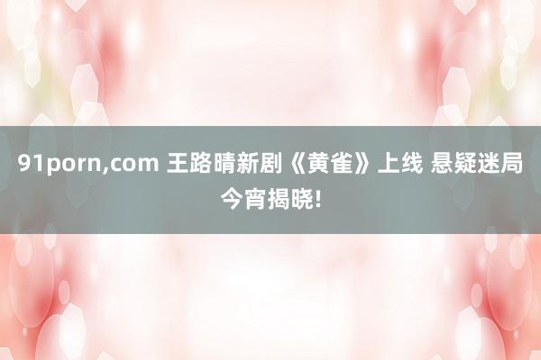 91porn，com 王路晴新剧《黄雀》上线 悬疑迷局今宵揭晓!