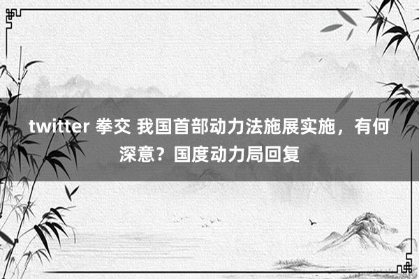 twitter 拳交 我国首部动力法施展实施，有何深意？国度动力局回复