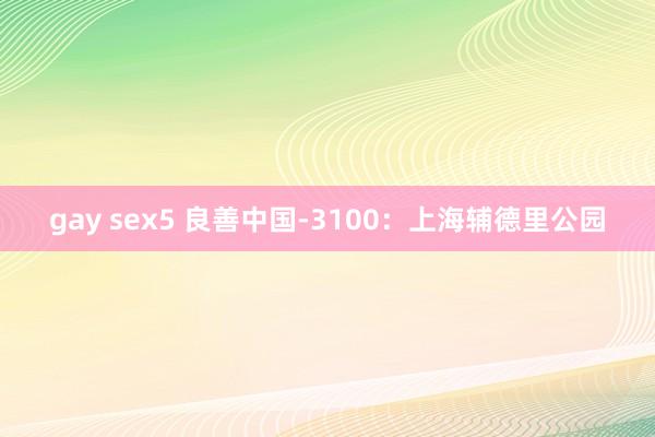 gay sex5 良善中国-3100：上海辅德里公园
