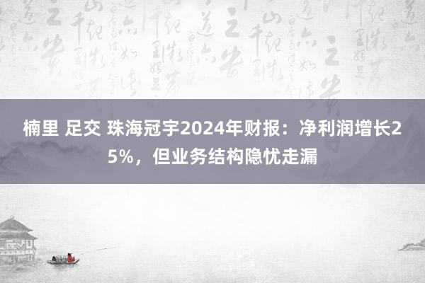 楠里 足交 珠海冠宇2024年财报：净利润增长25%，但业务结构隐忧走漏