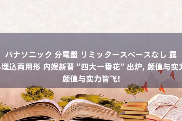 パナソニック 分電盤 リミッタースペースなし 露出・半埋込両用形 内娱新晋“四大一番花”出炉， 颜值与实力皆飞!