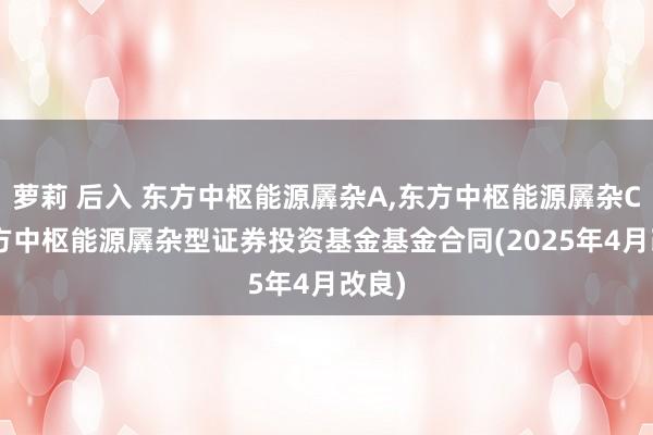 萝莉 后入 东方中枢能源羼杂A,东方中枢能源羼杂C: 东方中枢能源羼杂型证券投资基金基金合同(2025年4月改良)
