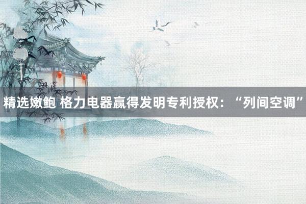 精选嫩鲍 格力电器赢得发明专利授权：“列间空调”