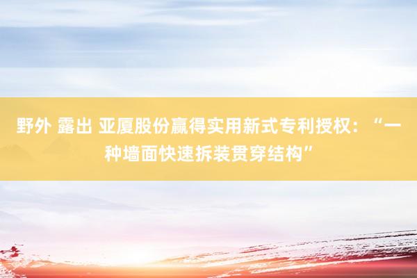 野外 露出 亚厦股份赢得实用新式专利授权：“一种墙面快速拆装贯穿结构”