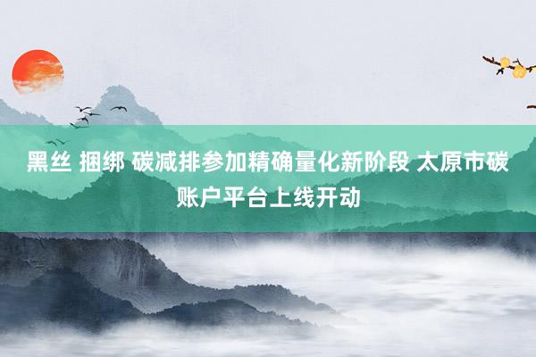 黑丝 捆绑 碳减排参加精确量化新阶段 太原市碳账户平台上线开动