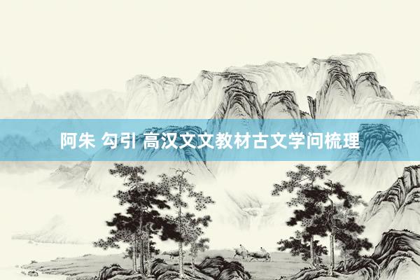 阿朱 勾引 高汉文文教材古文学问梳理