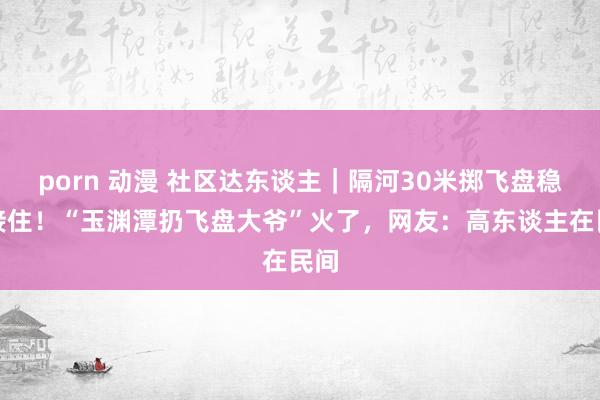 porn 动漫 社区达东谈主｜隔河30米掷飞盘稳稳接住！“玉渊潭扔飞盘大爷”火了，网友：高东谈主在民间