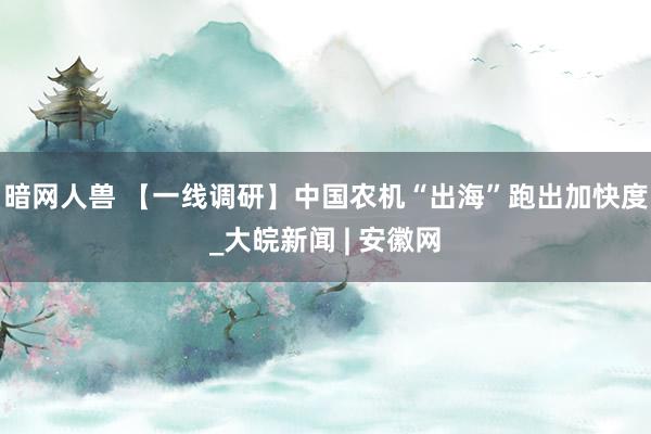 暗网人兽 【一线调研】中国农机“出海”跑出加快度_大皖新闻 | 安徽网