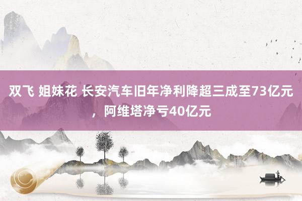 双飞 姐妹花 长安汽车旧年净利降超三成至73亿元，阿维塔净亏40亿元