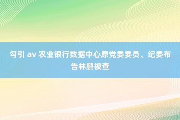 勾引 av 农业银行数据中心原党委委员、纪委布告林鹏被查