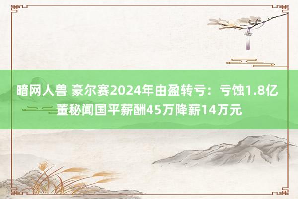 暗网人兽 豪尔赛2024年由盈转亏：亏蚀1.8亿 董秘闻国平薪酬45万降薪14万元