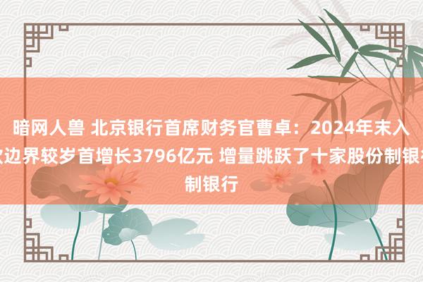 暗网人兽 北京银行首席财务官曹卓：2024年末入款边界较岁首增长3796亿元 增量跳跃了十家股份制银行