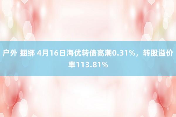 户外 捆绑 4月16日海优转债高潮0.31%，转股溢价率113.81%