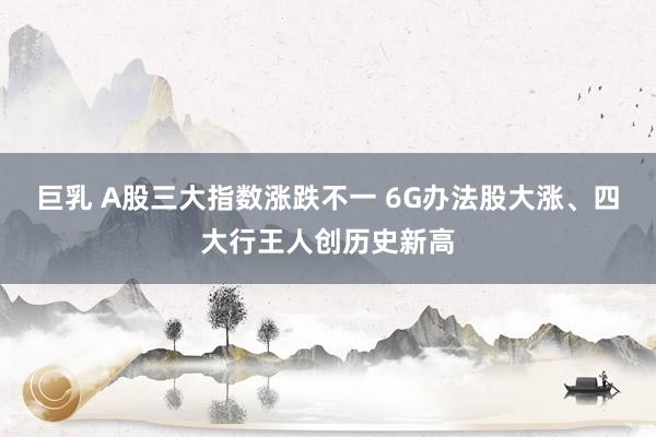 巨乳 A股三大指数涨跌不一 6G办法股大涨、四大行王人创历史新高