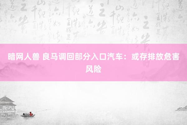 暗网人兽 良马调回部分入口汽车：或存排放危害风险