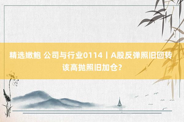 精选嫩鲍 公司与行业0114丨A股反弹照旧回转 该高抛照旧加仓？