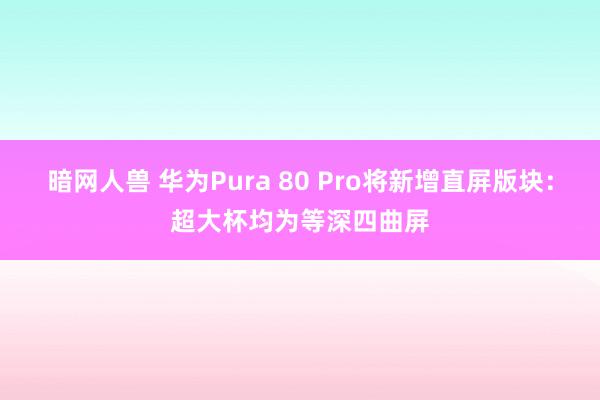 暗网人兽 华为Pura 80 Pro将新增直屏版块：超大杯均为等深四曲屏