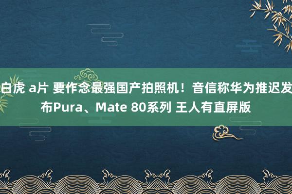 白虎 a片 要作念最强国产拍照机！音信称华为推迟发布Pura、Mate 80系列 王人有直屏版