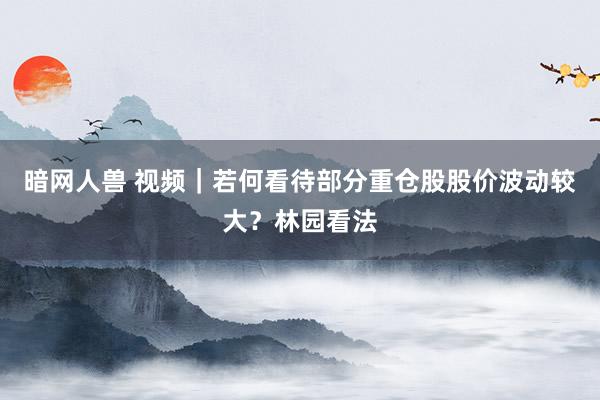 暗网人兽 视频｜若何看待部分重仓股股价波动较大？林园看法