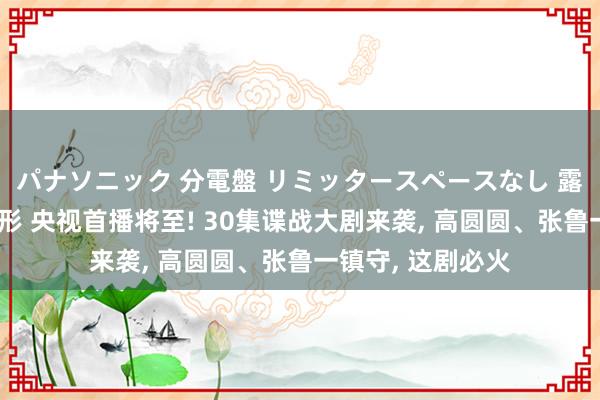 パナソニック 分電盤 リミッタースペースなし 露出・半埋込両用形 央视首播将至! 30集谍战大剧来袭， 高圆圆、张鲁一镇守， 这剧必火