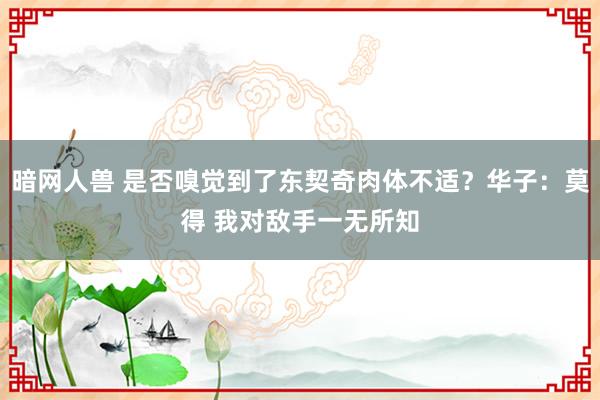 暗网人兽 是否嗅觉到了东契奇肉体不适？华子：莫得 我对敌手一无所知