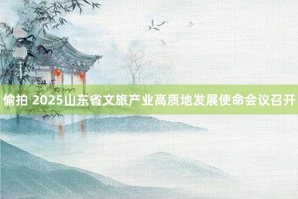 偷拍 2025山东省文旅产业高质地发展使命会议召开