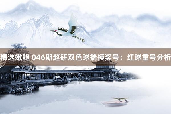 精选嫩鲍 046期赵研双色球揣摸奖号：红球重号分析